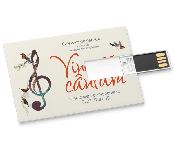 Memory Stick cu resurse muzicale